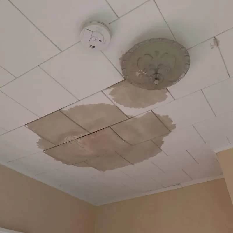 Ceiling Water Damage Repair in Johnstown, NY