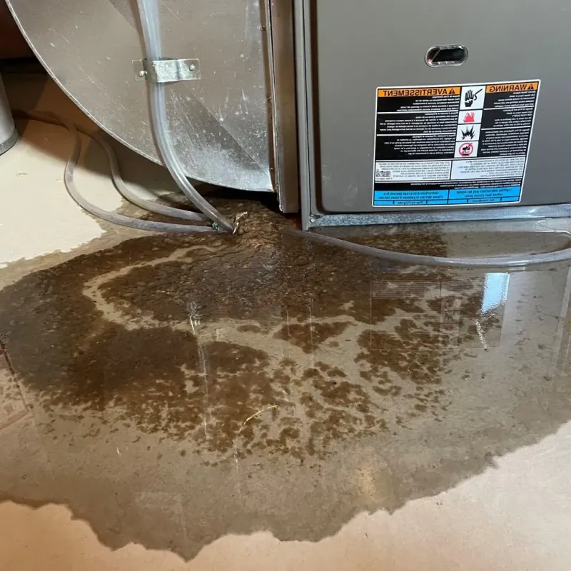 Pipe Burst and Leak Restoration in Johnstown, NY